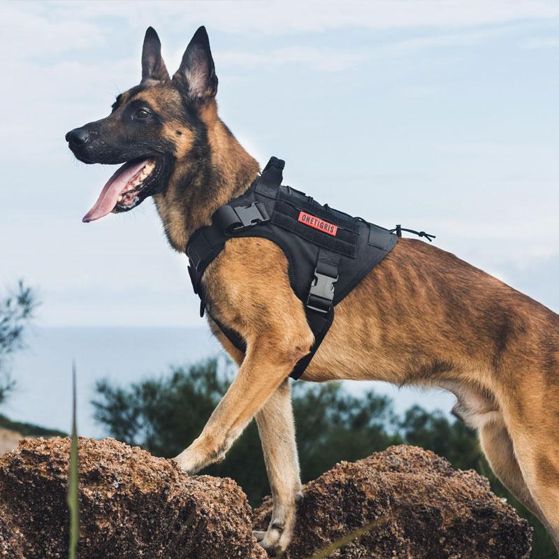 OneTigris FIRE WATCHER Dog Harness - CHK-SHIELD | Outdoor Army - Tactical Gear Shop
