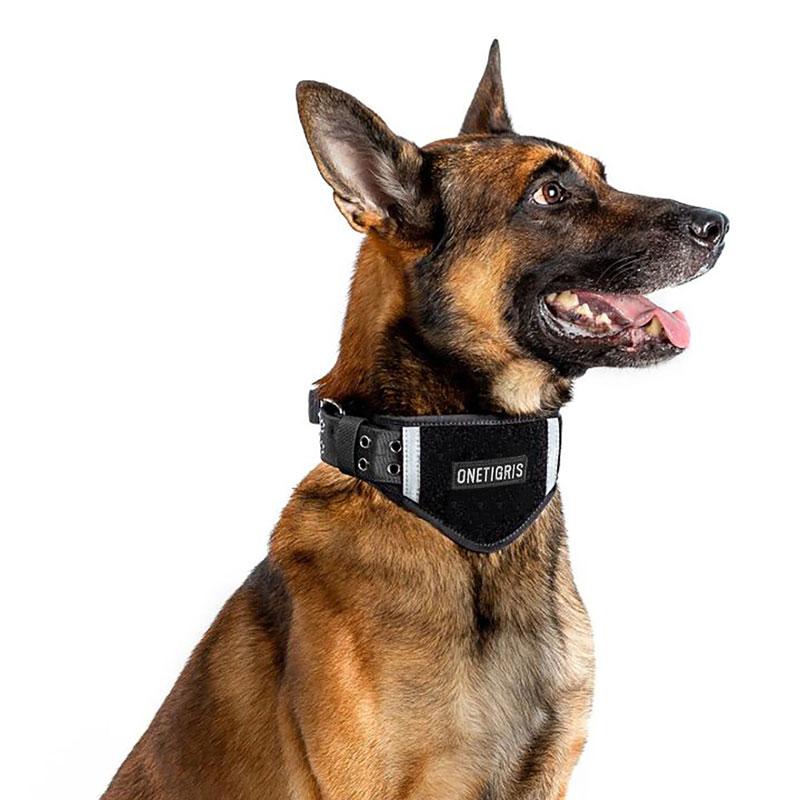 Tactical Padded Dog Collar with Patch Panel