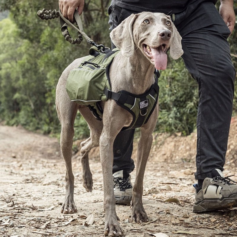 OneTigris CAMELUS Dog Pack - CHK-SHIELD | Outdoor Army - Tactical Gear Shop