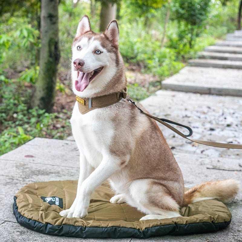 OneTigris Dog Sleeping Mats - CHK-SHIELD | Outdoor Army - Tactical Gear Shop