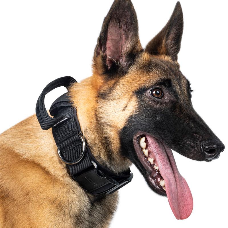 OneTigris Metal Buckled Heavy Duty K9 Collar - CHK-SHIELD | Outdoor Army - Tactical Gear Shop